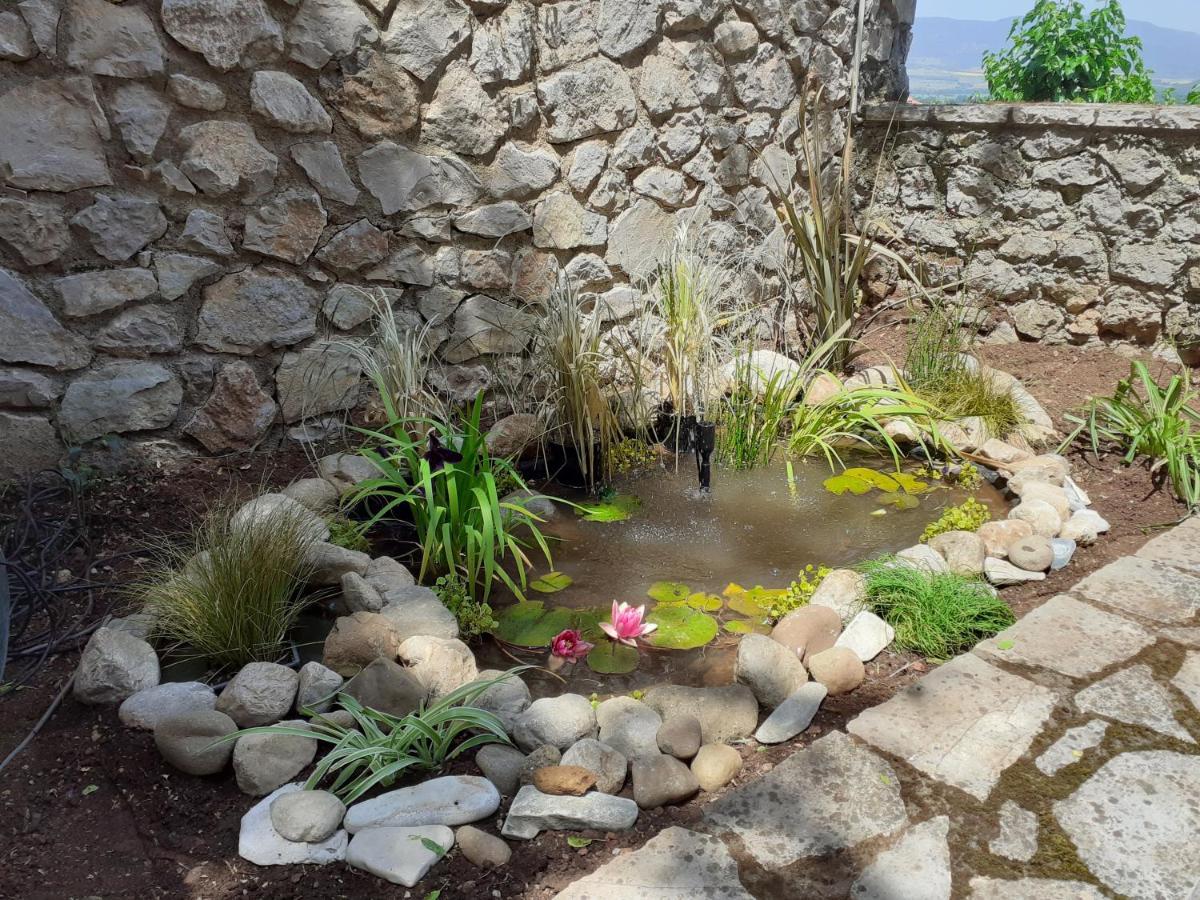 Lílaia Agoriani Art Suite - 4 Seasons' Natural Living מראה חיצוני תמונה